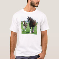 Clydesdale und Stutenfohlen
