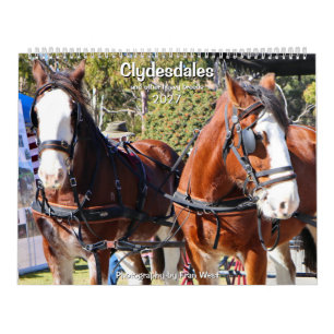 Clydesdales & andere schwere Pferderassen 2027 Kalender