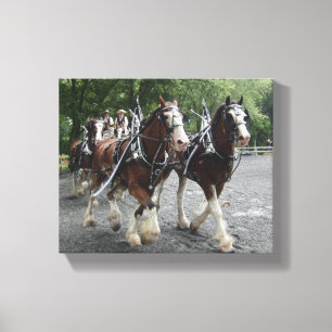 Clydesdales, das Wagen zieht Leinwanddruck