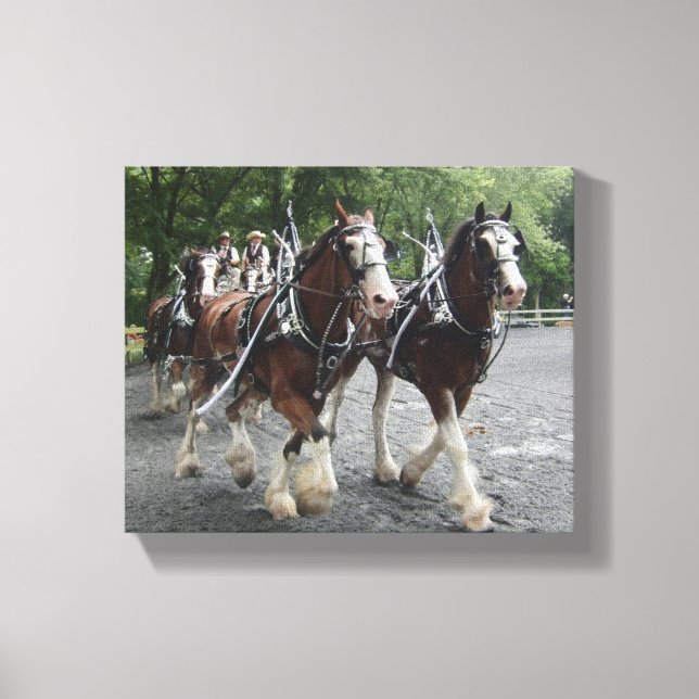 Clydesdales Pulling Carriage Leinwanddruck (Vorderseite)