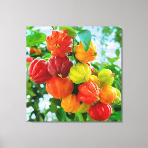 CM12135 - Pitanga, tropische Frucht Leinwanddruck