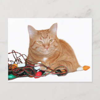 Cmine Weihnachtsbeleuchtung Postkarte
