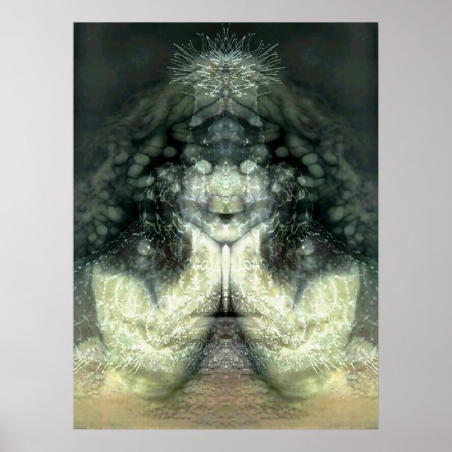 Cnidarian-Effekt 1 Poster (Vorne)