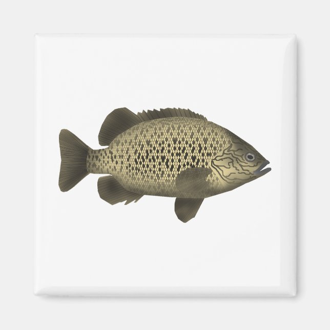 Coal Grunter Magnet (Vorne)