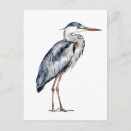 Coastal Blue Heron Bird Postkarte