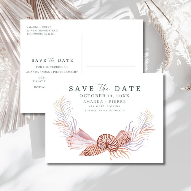 Coastal Seashell Beach Wedding Save the Date Ankündigungspostkarte (Coastal Seashell Beach Wedding Save the Date Announcement Postcard)