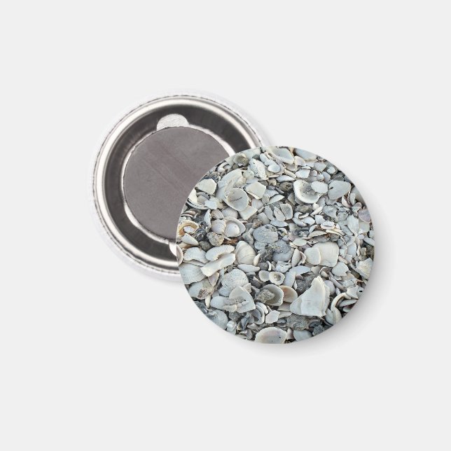 Coastal Shell Drift Pattern Magnet (Vorderseite/Rückseite)