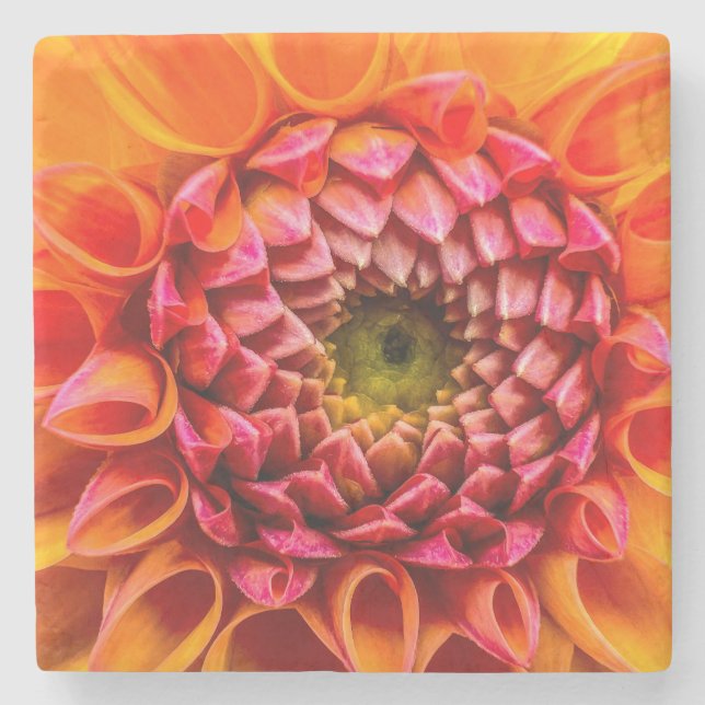 Coaster, floral art steinuntersetzer (Vorderseite)