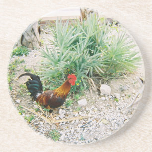 Coaster_Rooster Sandstein Untersetzer