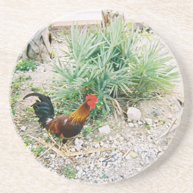 Coaster_Rooster Sandstein Untersetzer (Vorne)