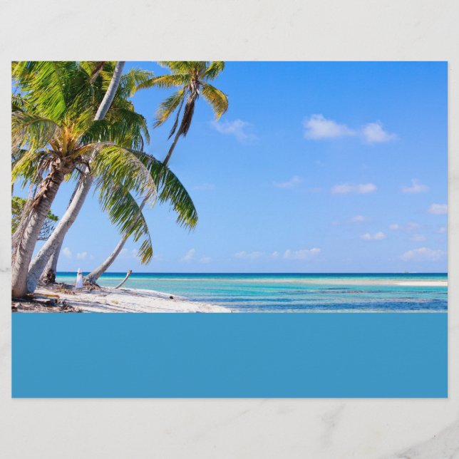 Coastline Flyer (Vorne)