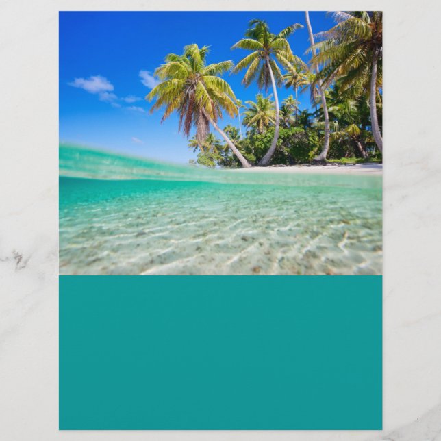 Coastline Flyer (Vorne)