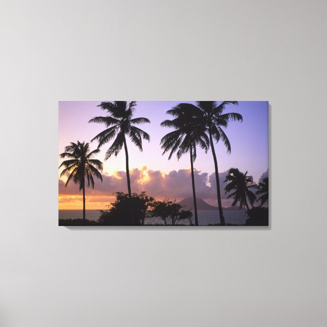 Coastline St. Kitts Leinwanddruck (Vorderseite)