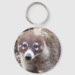 Coati-grundlegender Knopf-Schlüsselanhänger Schlüsselanhänger