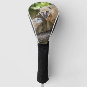 Coati Pup teilt einen zender Moment mit Mum Golf Headcover