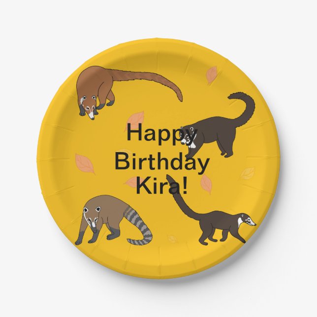 Coatis Birthday Pappteller (Vorderseite)