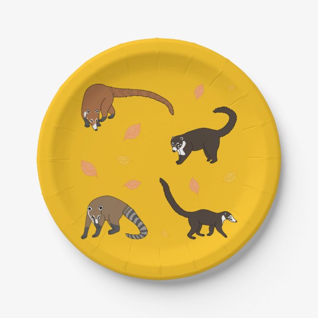 Coatis Pappteller (Vorderseite)