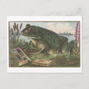 Coats Thread Frog Trading Card Postkarte