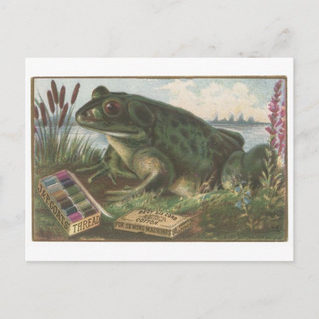Coats Thread Frog Trading Card Postkarte (Vorderseite)