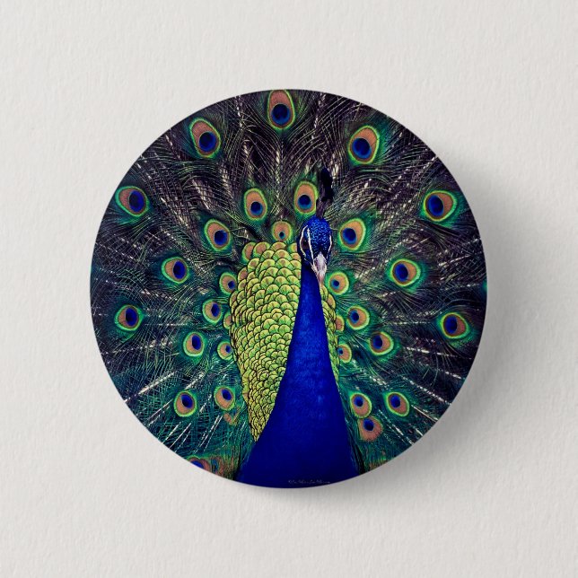 Cobalt Blue Peacock Button (Vorderseite)