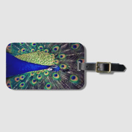 Cobalt Blue Peacock Gepäckanhänger