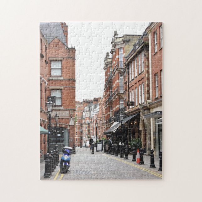 Cobblestone Street Kensington London England (Vertikal)