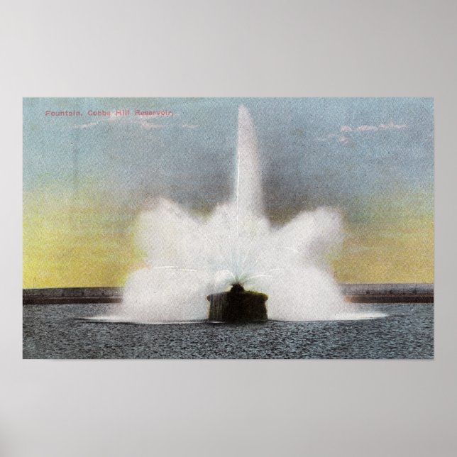 Cobbs Hill Reservoir Poster (Vorne)