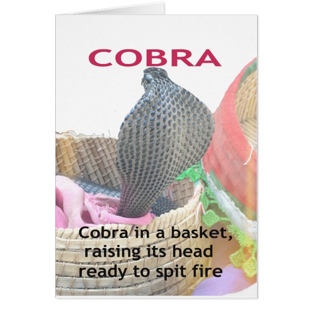 Cobra dans un panier Prêt à cracher le feu (Devant)