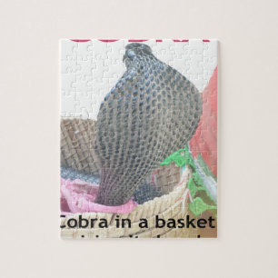 Cobra in Basket Art Print