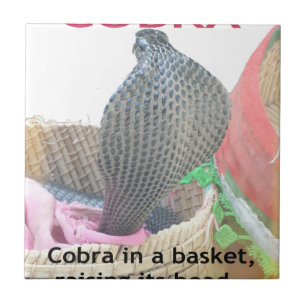 Cobra in Basket Art Print Fliese