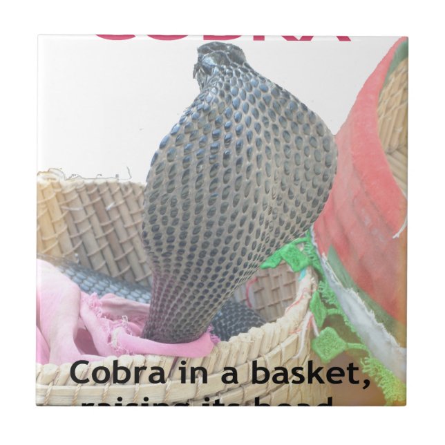 Cobra in Basket Art Print Fliese (Vorderseite)
