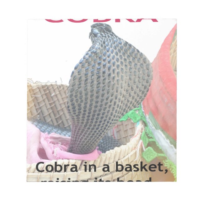 Cobra in Basket Art Print Notizblock (Vorderseite)