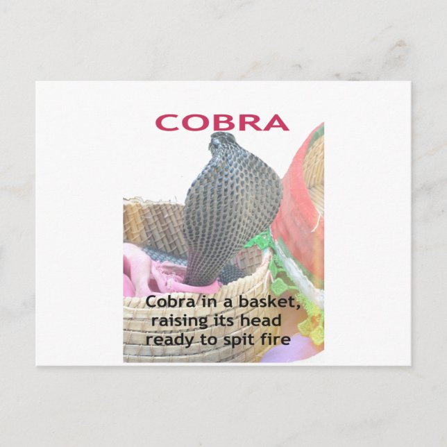 Cobra in Basket Art Print Postkarte (Vorderseite)