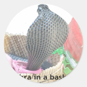 Cobra in Basket Art Print Runder Aufkleber