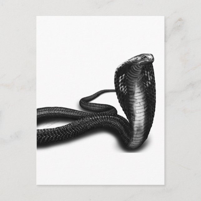 Cobra Postkarte (Vorderseite)