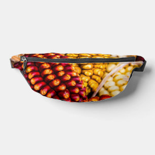 Cobs de maïs