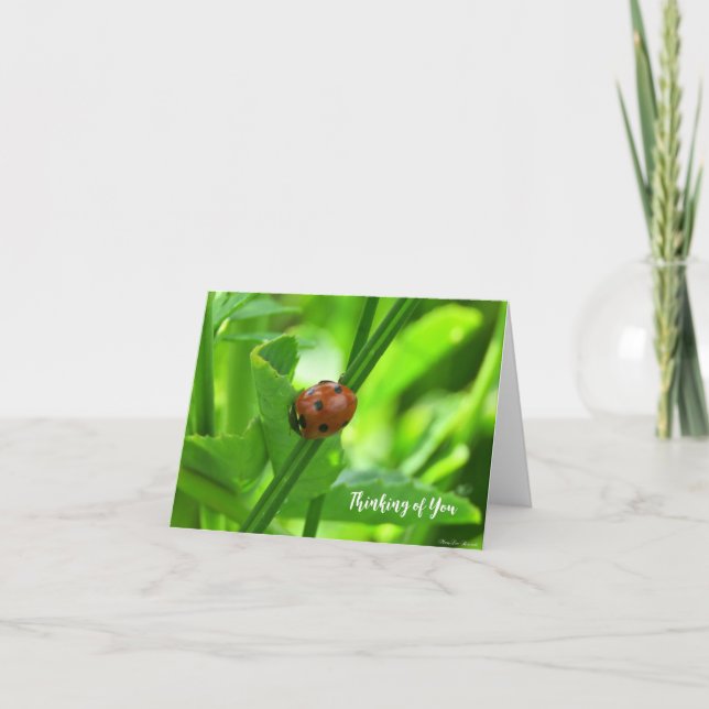 Coccinelle - Carte Pensées pour Toi (Devant)