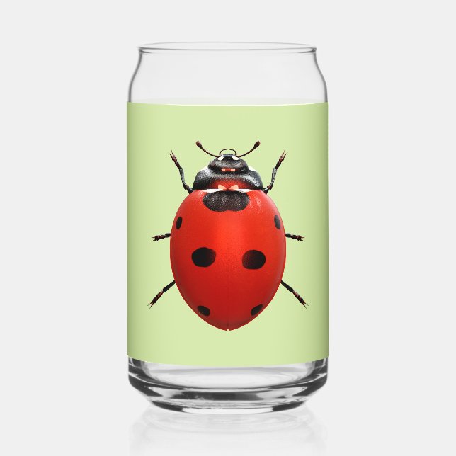 Coccinelle Chanceuse (Recto)