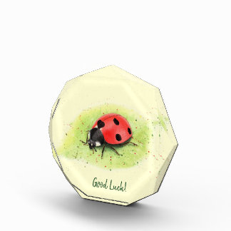 Coccinelle mignonne sur un bloc de photo de feuill