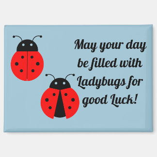 Coccinelles pour la Chance Magnet