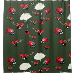Coccinelles, rideau en douche d'insectes de