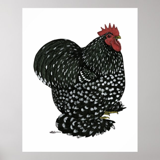 Cochin: Black Mottle Poster (Vorne)