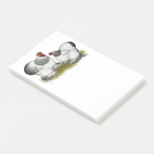 Cochin Columbian Bantams Post-it Klebezettel