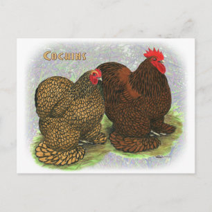 Cochin: Golden laced2 Postkarte