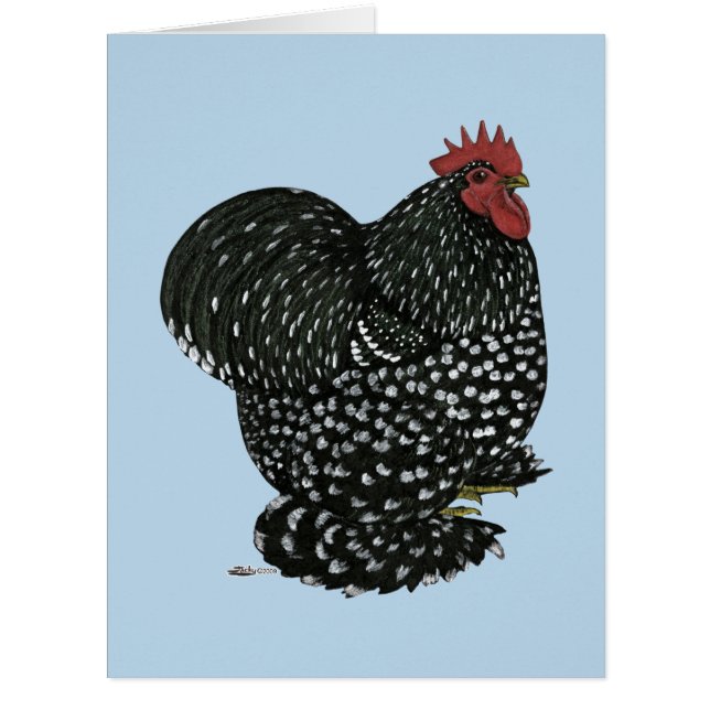 Cochin: Mottled Rooster (Vorderseite)