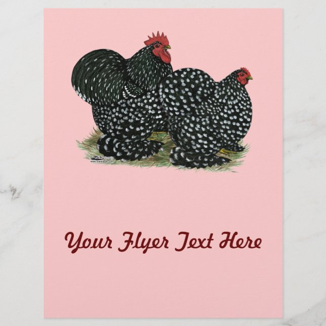 Cochin Mottles Chickens Flyer (Vorne)