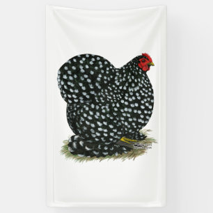 Cochin Mottling Hen Banner