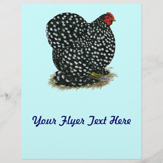 Cochin Mottling Hen Flyer (Vorne)