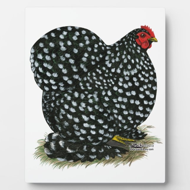 Cochin Mottling Hen Fotoplatte (Vorderseite)