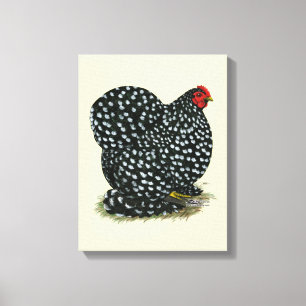 Cochin Mottling Hen Leinwanddruck